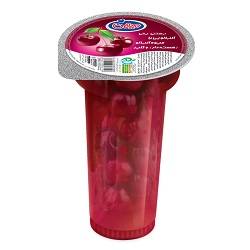 میهن بستنی اسکیمو آلبالویی